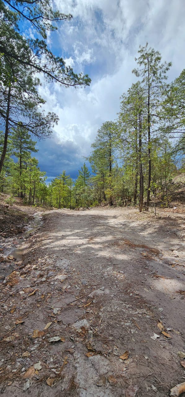 Camino hacia Vistas del Túnel