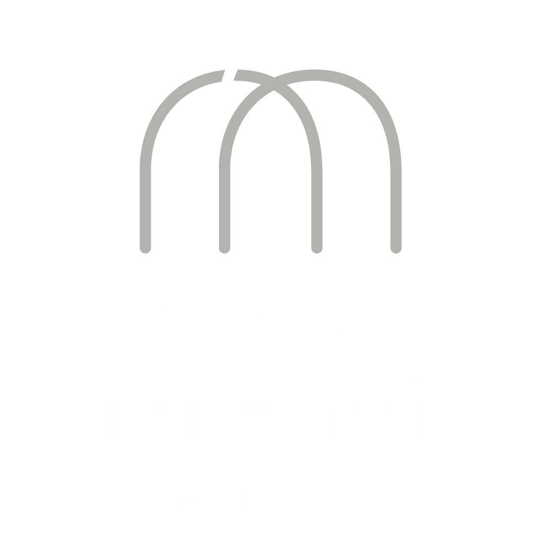 Vistas del Túnel Logo