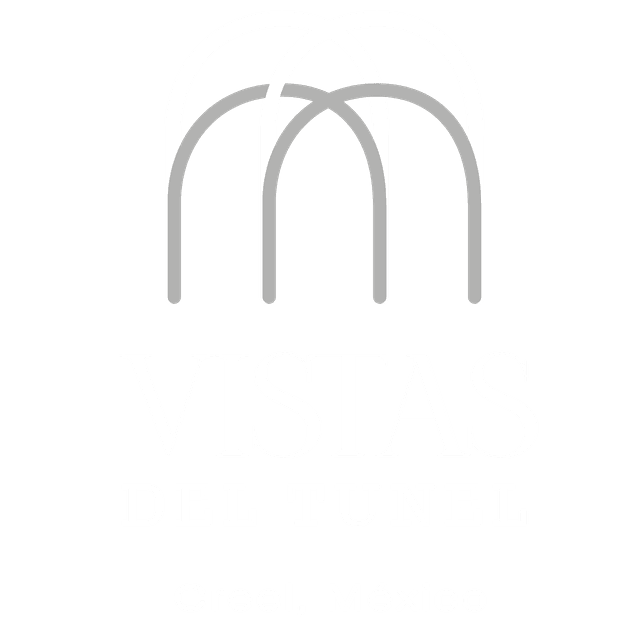 Vistas del Túnel Logo